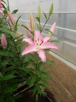 [4203 Marrero CT No101.JPG]